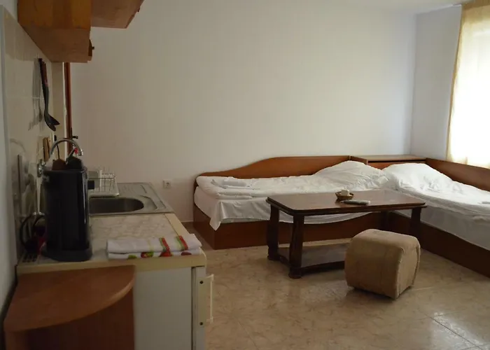 Bravo 1 George Slantchev Briag