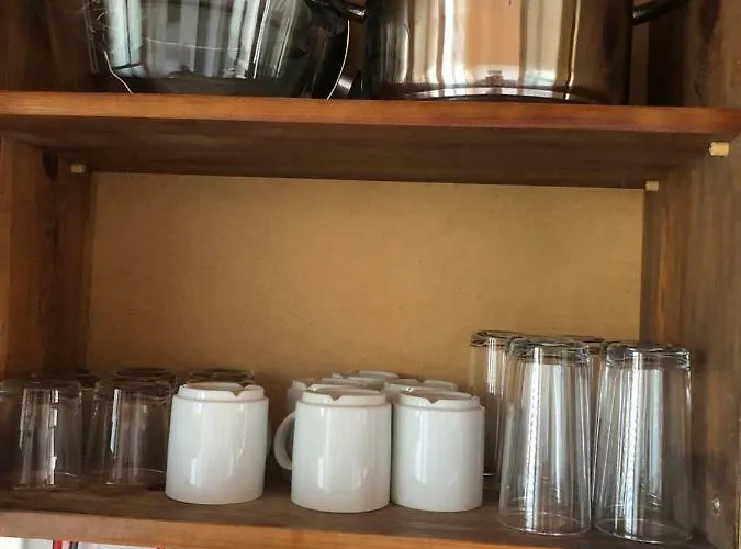 Bravo 1 George סאני ביץ'